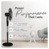 A fan that takes stand - Image 2
